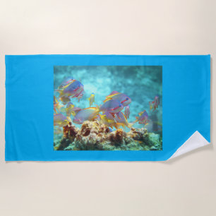 Anthias - Farbenfrohe Fischschule am Korallenriff Strandtuch