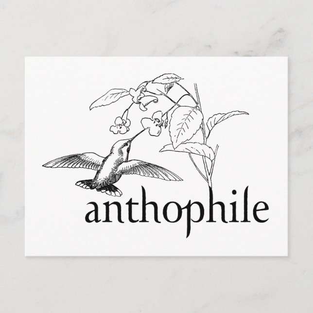 Anthophil Postkarte (Vorderseite)