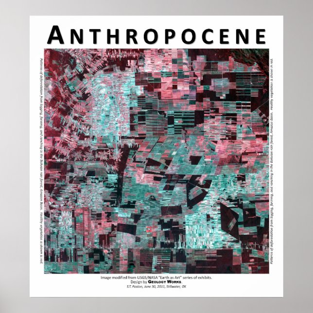 Anthropocene III - Bolivianischer Regenwald Poster (Vorne)