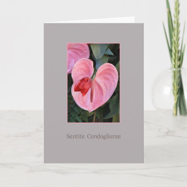 Anthurium Beileid card italian Karte (Vorderseite)