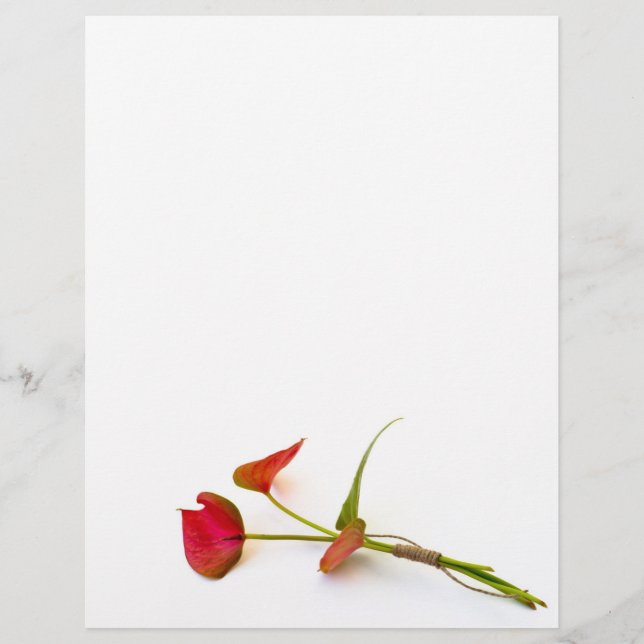 Anthurium Blume (Vorderseite)
