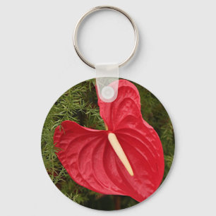 Anthurium-Blume in Blüte Schlüsselanhänger