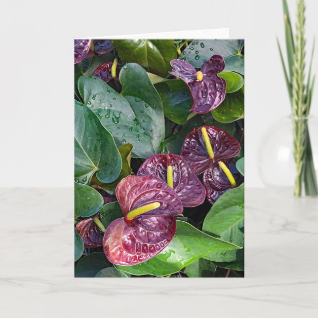 Anthurium Dankeskarte (Vorderseite)