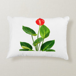 Anthurium Dekokissen