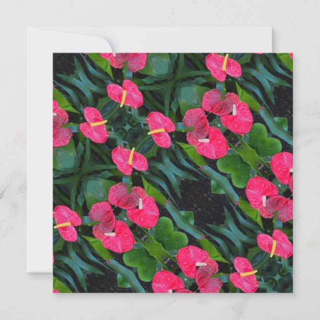 Anthurium-Pflanze Einladung (Vorderseite)