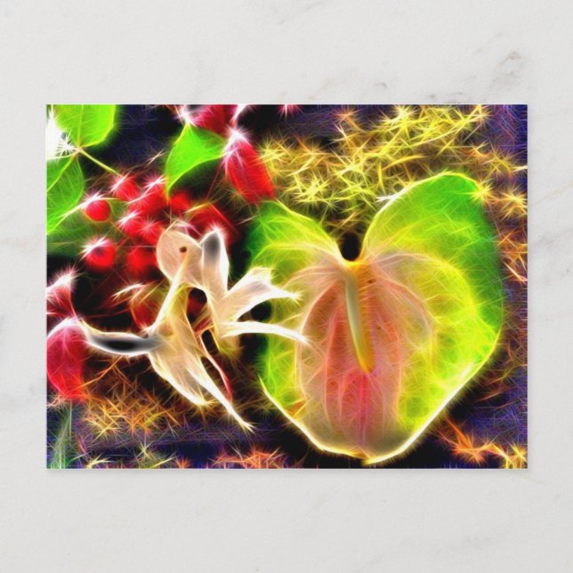 Anthurium Postkarte (Vorderseite)