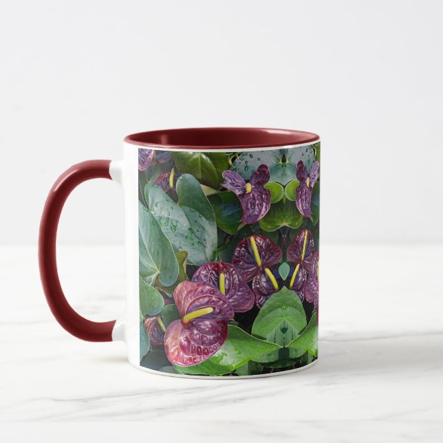 Anthurium Tasse (Links)