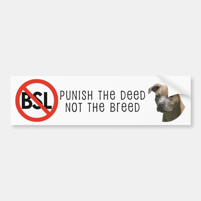 Anti-BSL Autoaufkleber (Vorne)