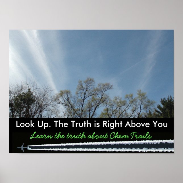 Anti Chem Trail Educational Poster (Vorne)