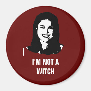 Anti-Christine O'Donnell Magnet