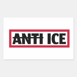 Anti-Einwanderungs- und Zollbehörde (ICE) Rechteckiger Aufkleber