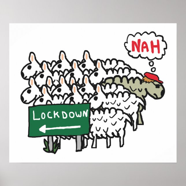 Anti-Lockdown-Schafe Poster (Vorne)