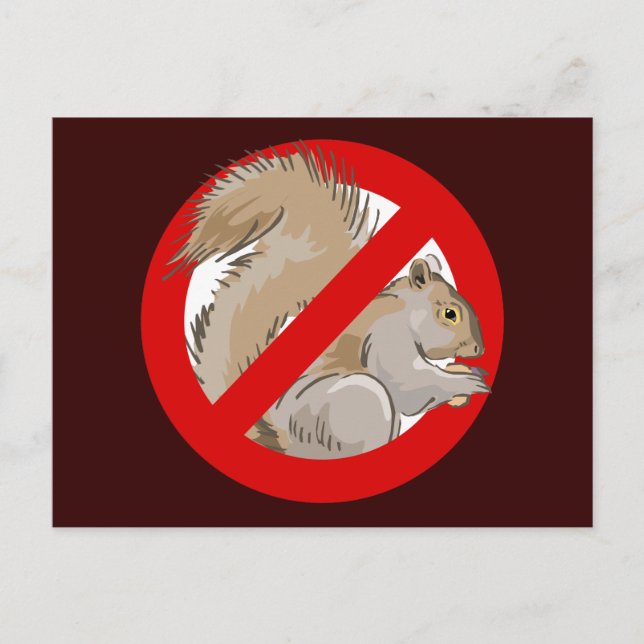 Anti-Squirrel Postkarte (Vorderseite)