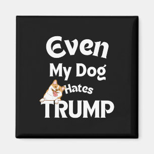 Anti Trump-T-Shirts Hund Hates Donald 3 Magnet