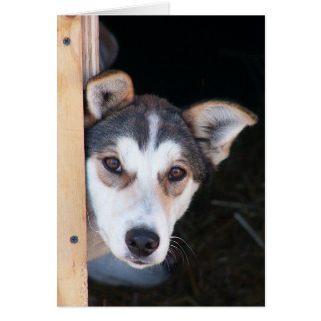 Anticipation (Devant)