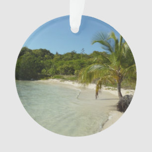 Antiguan Beach Beautiful Tropical Landscape