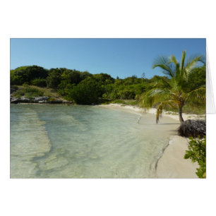 Antiguan Strand Schöne tropische Landschaft