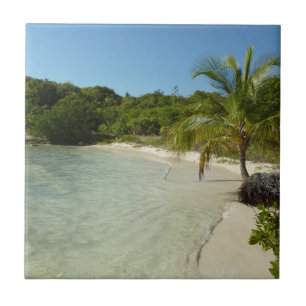Antiguan Strand Schöne tropische Landschaft Fliese