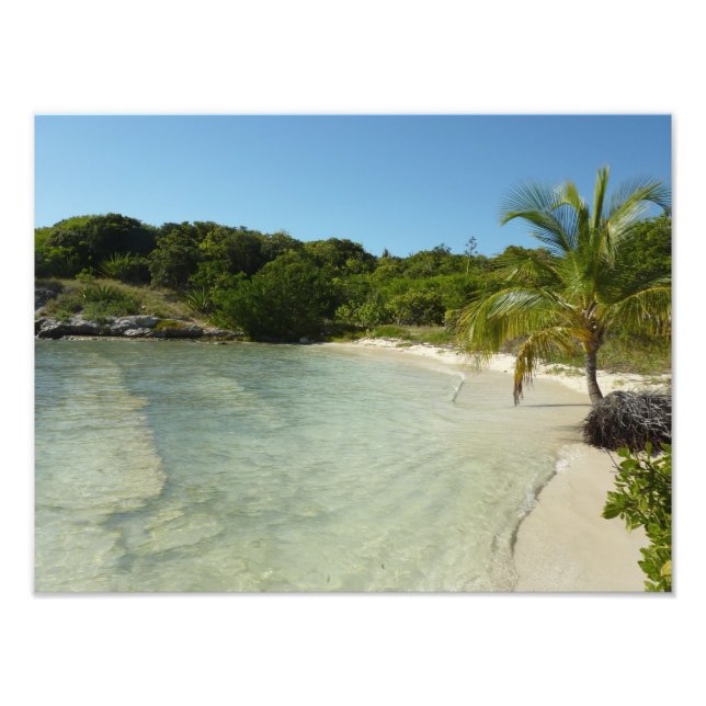 Antiguan Strand Schöne tropische Landschaft Fotodruck (Vorne)