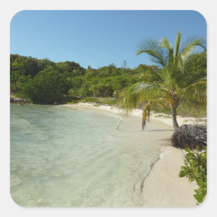 Antiguan Strand Schöne tropische Landschaft Quadratischer Aufkleber