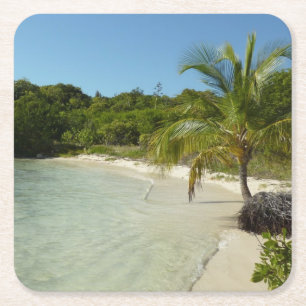 Antiguan Strand Schöne tropische Landschaft Rechteckiger Pappuntersetzer