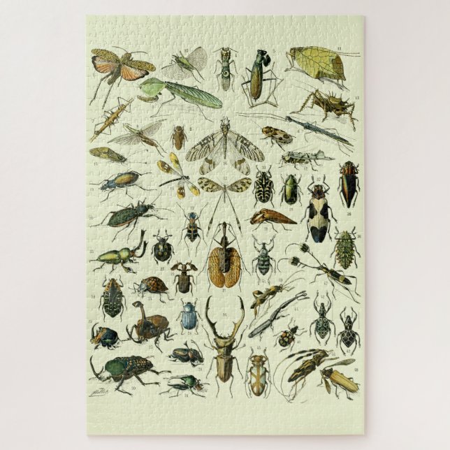 Antik Insekten (Vertikal)