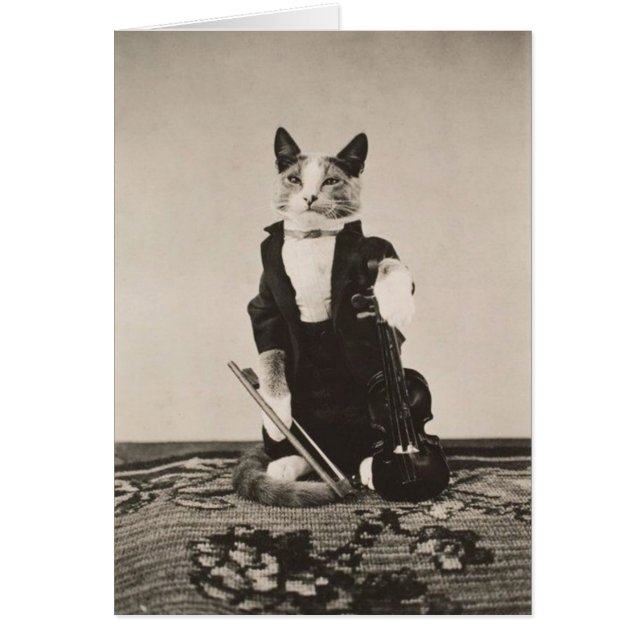 Antik - Katzenviolinist, (Vorne)