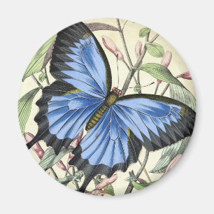 Antik Schmetterling Magnet