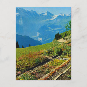 Antik Schweiz, Schynigge Platte, 1909 9 Postkarte