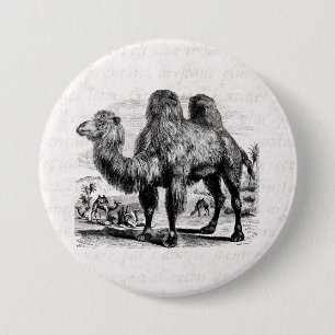 Antike 1800er Kamel - Vorlage für ägyptische Kamel Button