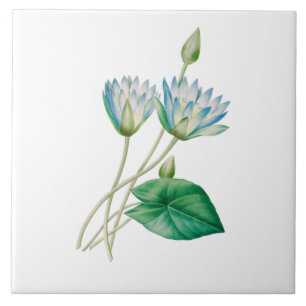 Antike ägyptische Lotusblume Fliese