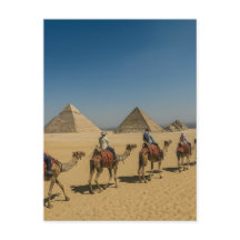 Antike ägyptische Pyramiden Wüstenkamelritt