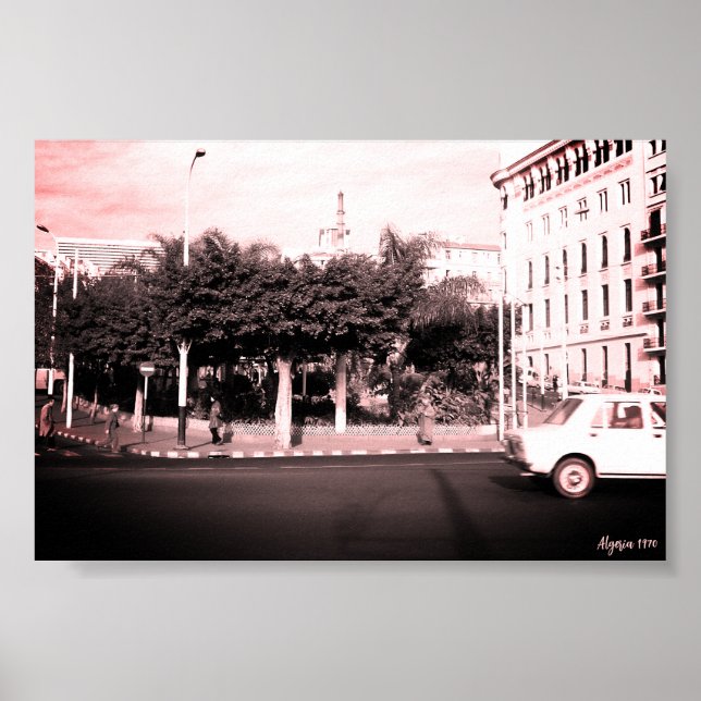 Antike Algerien Algier Autos Gebäude Poster (Vorne)