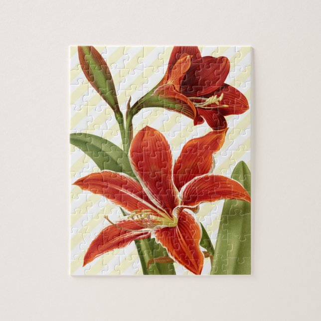 Antike Amaryllis (Vertikal)