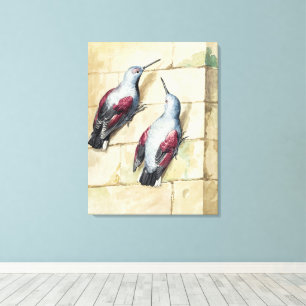 Antike Aquarell-Kunst roter und grauer Vogel Leinwanddruck