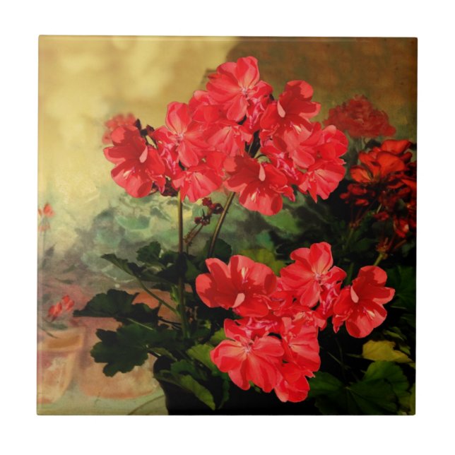 Antike Art-rote Pelargonie-Blumen-Geschenke Fliese (Vorderseite)