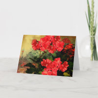 Antike Art-rote Pelargonie-Blumen-Geschenke