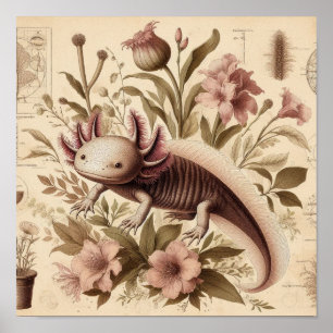 Antike Axolotl-Zeichnung mit aquatischen floralen  Poster