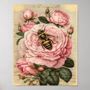 Antike Biene und rosa Rosen Poster