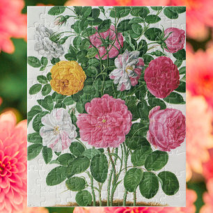 Antike blühende Blumen, Frühlingsgartenrosen