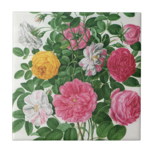 Antike blühende Blumen, Frühlingsgartenrosen Fliese