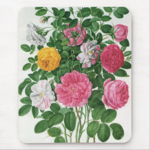 Antike blühende Blumen, Frühlingsgartenrosen Mousepad