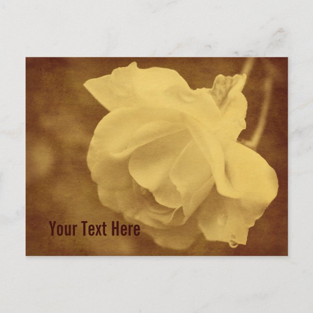 Antike Blume Vintager Rose Postkarte individuell a (Vorderseite)