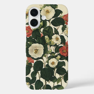 Antike Blumen, alte Gartenrosen Blumen iPhone 16 Hülle