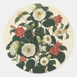 Antike Blumen, alte Gartenrosen Blumen Runder Aufkleber