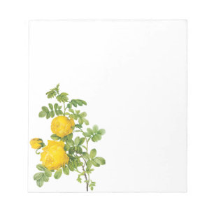 Antike Blumen Blumen, gelbe Rosen von Redoute Notizblock