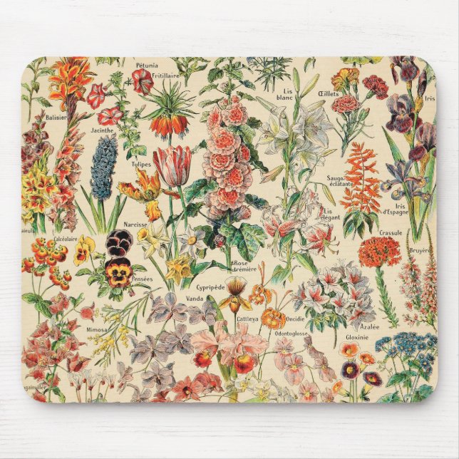 Antike Blumen von Adolphe Millot Mousepad (Vorne)