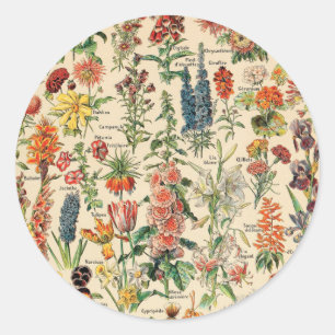 Antike Blumen von Adolphe Millot Runder Aufkleber