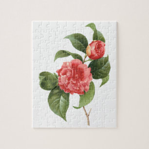 Antike Blumengemälde, rosa Kamelienblüten von Redo