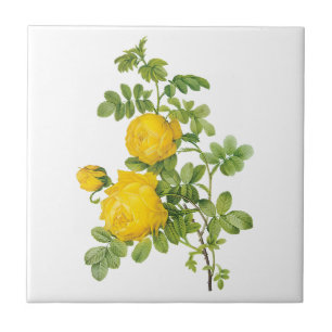 Antike Blumengestecke, gelbe Rosen von Redoute Fliese